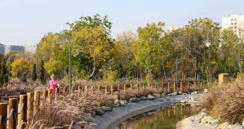 İBB tarafından hayata geçirilen Ayamama Yaşam Vadisi, Avrupa şehirlerinin sürdürülebilir