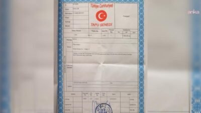 Aydın’ın Efeler ilçesinde Nevzat Biçer Parkı içerisinde yer alan ve