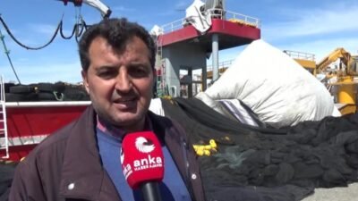 Balıkçılık av sezonu 15 Nisan’da sona erecek. Sinop'ta sezonu değerlendiren