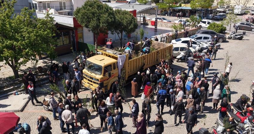 Bergama Belediyesi, Tiyelti Mahallesi’nde yürüttüğü çalışmayla doğada kendiliğinden yetişen 130
