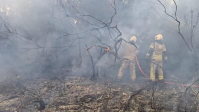 İstanbul'un Beykoz ile Şile ilçeleri arasında dün 15.50 sıralarında henüz