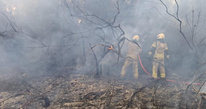 İstanbul'un Beykoz ile Şile ilçeleri arasında dün 15.50 sıralarında henüz