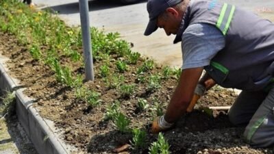 Beylikdüzü Belediyesi, ilçe genelinde başlattığı yaza hazırlık çalışmaları kapsamında ortak