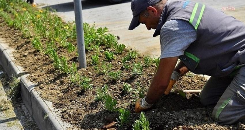 Beylikdüzü Belediyesi, ilçe genelinde başlattığı yaza hazırlık çalışmaları kapsamında ortak
