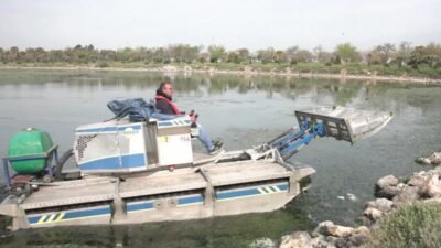 İzmir Büyükşehir Belediyesi ekipleri, Körfez’de görülen deniz marullarının temizlenmesi için