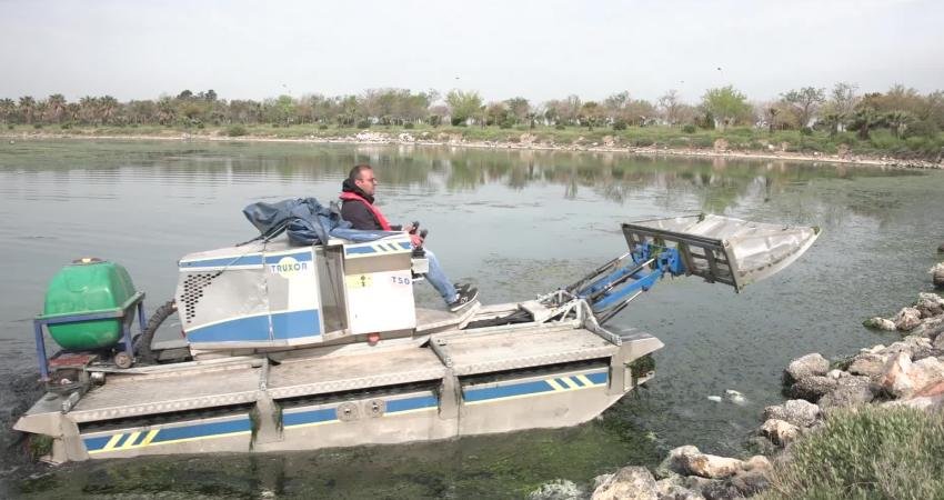 İzmir Büyükşehir Belediyesi ekipleri, Körfez’de görülen deniz marullarının temizlenmesi için