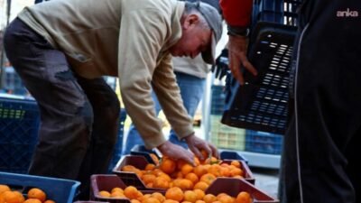 Bodrum Belediye A.Ş. ve Tarımsal Hizmetler Müdürlüğü iş birliği ile