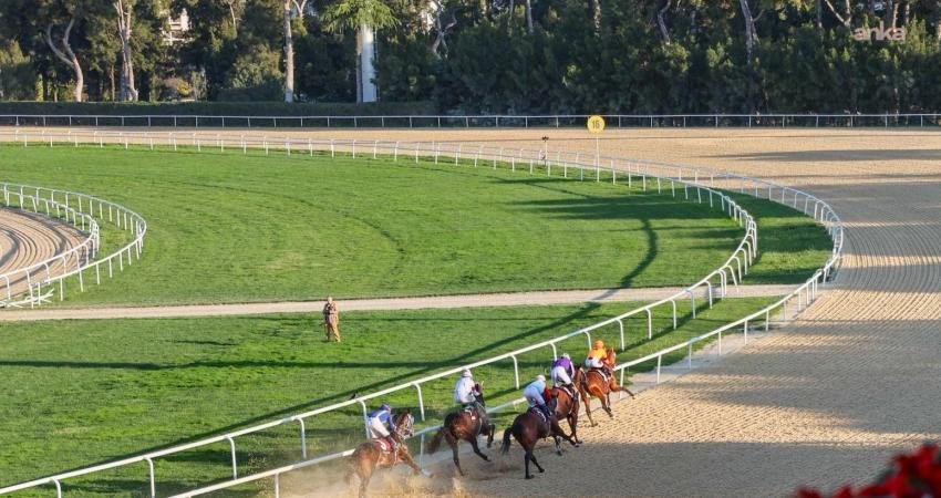 Buca Belediye Başkanlığı Koşusu’nu “Önderbeyim” kazandı Şirinyer Hipodromu’nda düzenlenen Buca Belediye Başkanlığı Koşusu’nda zafer, Önderbeyim’in oldu.