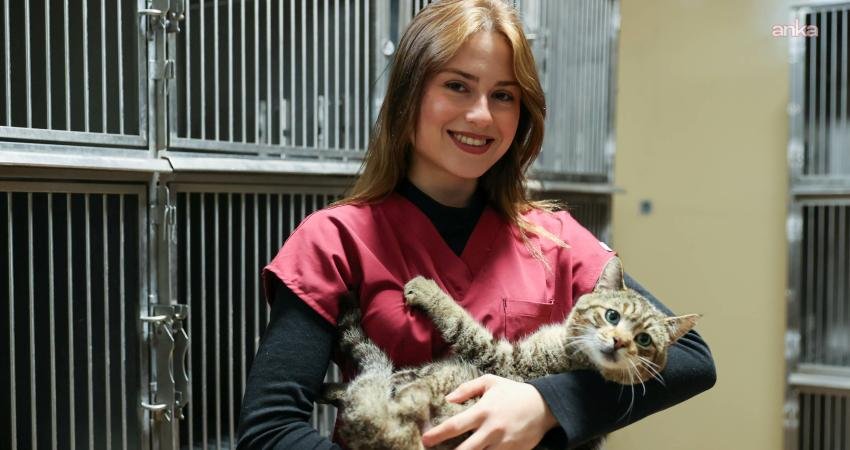 Buca’da 599 patili dost sıcak yuvaya kavuştu Buca Belediyesi, "Satın alma, sahiplen" kampanyası kapsamında 2024 yılında 170, 2025