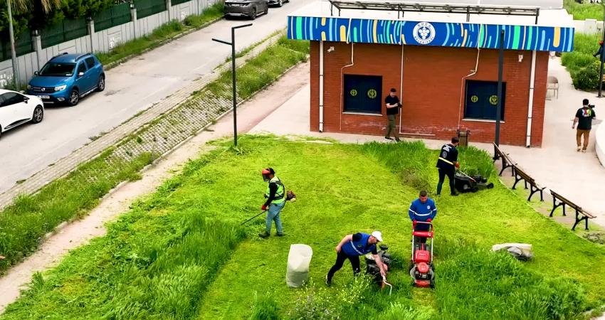 Buca Belediyesi, baharın gelişiyle birlikte 47 mahallede eş zamanlı yabani