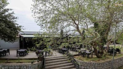 Buca Belediyesi’nin işletmelerinden birisi olan Dere Kafe, Kaynaklar’ın doğasında, yüksek