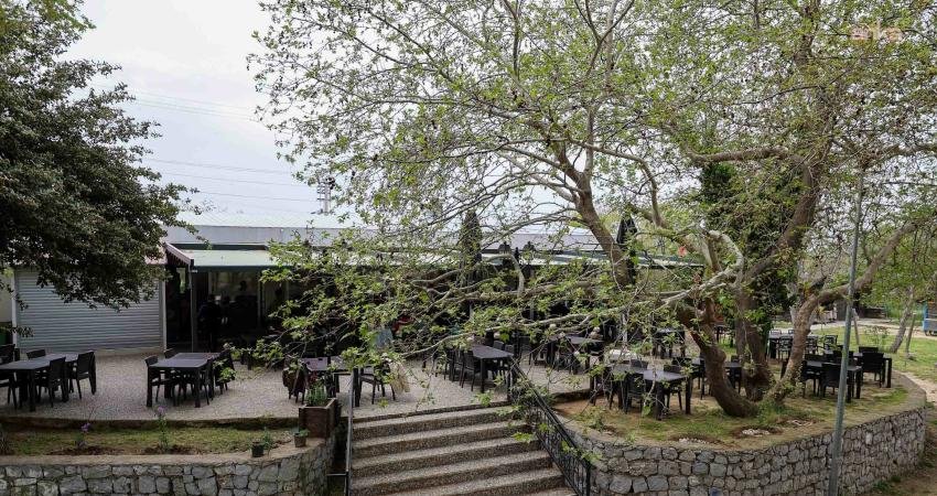 Buca Belediyesi’nin işletmelerinden birisi olan Dere Kafe, Kaynaklar’ın doğasında, yüksek