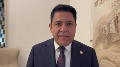 Yeni Yol Partisi Grup Başkanvekili Bülent Kaya, doğum iznini 24 haftaya