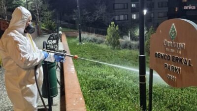 Çankaya Belediyesi, havanın ısınmasıyla 124 mahallede ilaçlama çalışmalarına hız verdi. Çalışmalara