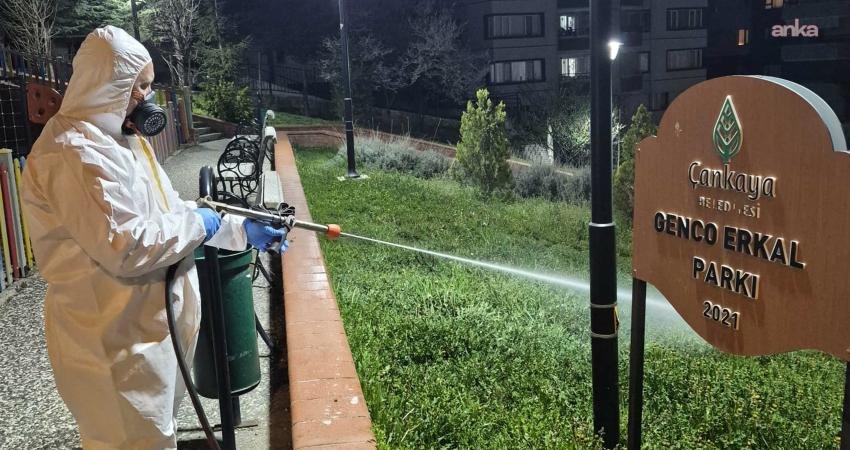 Çankaya Belediyesi, havanın ısınmasıyla 124 mahallede ilaçlama çalışmalarına hız verdi. Çalışmalara