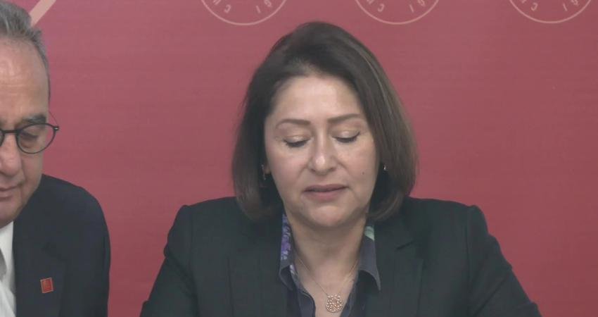 CHP Cumhurbaşkanlığı Aday Ofisi Adalet Politika Kurulu Başkanı Şule Özsoy