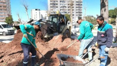 Ceyhan Belediyesi Park ve Bahçeler Müdürlüğü ekipleri, ilçe genelindeki parkları