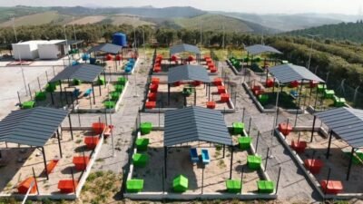 Ceyhan Belediyesi, sokak hayvanlarının daha sağlıklı ve güvenli bir ortamda