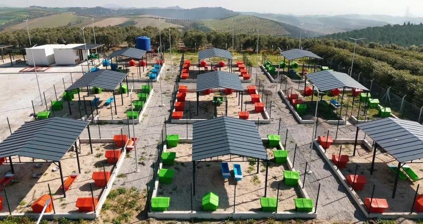 Ceyhan Belediyesi, sokak hayvanlarının daha sağlıklı ve güvenli bir ortamda