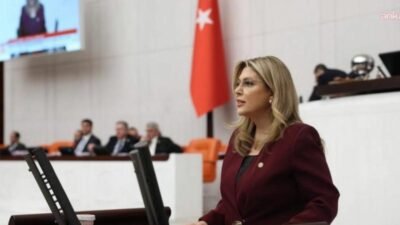 CHP Giresun Milletvekili Elvan Işık Gezmiş, Hasbi Dede'nin yargılandığı "taciz"