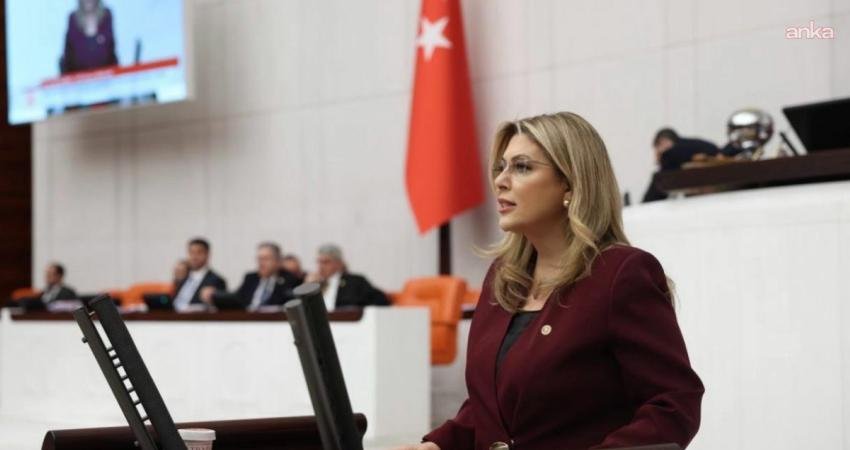 CHP Giresun Milletvekili Elvan Işık Gezmiş, Hasbi Dede'nin yargılandığı "taciz"