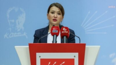 CHP Genel Başkan Yardımcısı ve İzmir Milletvekili Gökçe Gökçen, ABD