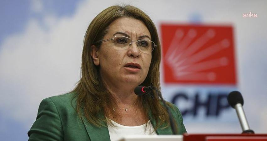 CHP Denizli Milletvekili Gülizar Biçer Karaca, bekar annelerin sorunlarına dair
