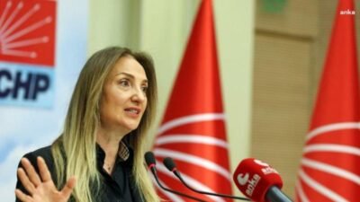 CHP Aile ve Sosyal Hizmetler Politika Kurulu Başkanı Aylin Nazlıaka, Gülistan