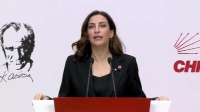 CHP Genel Başkan Yardımcısı Evrim Rızvanoğlu, Maden ve Petrol İşleri Genel