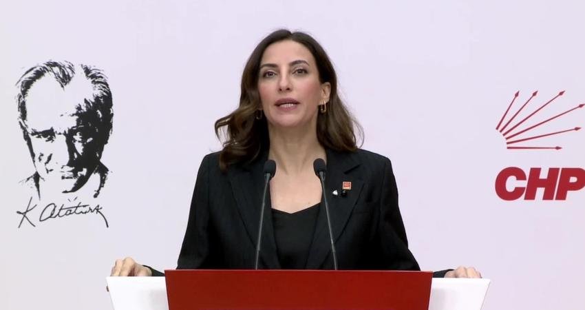 CHP Genel Başkan Yardımcısı Evrim Rızvanoğlu, Maden ve Petrol İşleri Genel