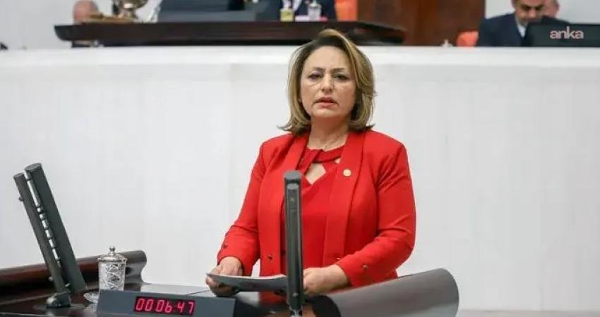 CHP’li Şevkin’den Adana-KKTC arası feribot seferi önerisi CHP Adana Milletvekili Müzeyyen Şevkin, Adana’nın Yumurtalık ve Karataş ilçelerinden