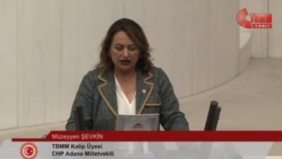 CHP Adana Milletvekili Müzeyyen Şevkin, 20 yaş ve üzeri araçların