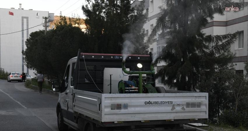 Çiğli’de sivrisinek ve haşerelere karşı etkin önlem Çiğli Belediyesi, sivrisinek ve zararlı haşerelere karşı başlattıkları çalışmaları hızlandırdı.