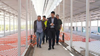 Tuzla Belediye Başkanı Eren Ali Bingöl, Tuzla Belediyesi ile Vehbi