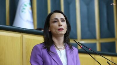 DEM Parti Eş Genel Başkanı Tülay Hatimoğulları, 2 Nisan Dünya