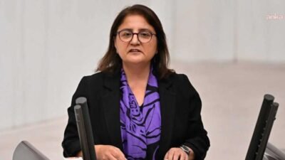 DEM Parti Tunceli Milletvekili Ayten Kordu, Tunceli'de 5 Ocak 2020