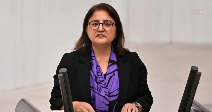 DEM Parti Tunceli Milletvekili Ayten Kordu, Tunceli'de 5 Ocak 2020