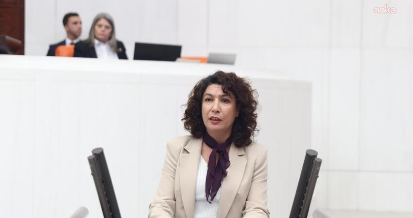 DEM Partili Türkoğlu’ndan doğum izni düzenlemesine tepki: İş yerlerinde ücretsiz kreşler açılmalı DEM Parti Kadın Meclisi Sözcüsü Halide Türkoğlu, TBMM Genel Kurulu'nda
