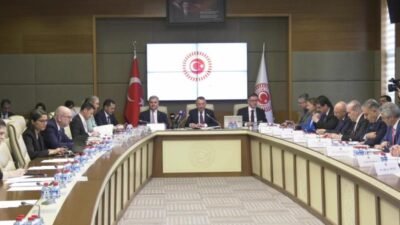 Dışişleri Bakan Yardımcısı ve Avrupa Birliği (AB) Başkanı Büyükelçi Mehmet