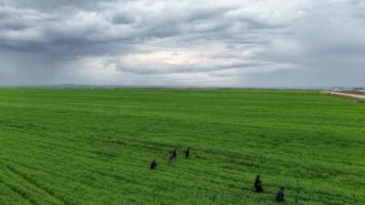 Diyarbakır’ın Bağlar ilçesinde kayıp ihbarı yapılan 3 yaşındaki Yazgül Kaya,