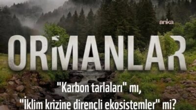 Doğal Hayatı Koruma Vakfı (WWF), TBMM Tarım, Orman ve Köyişleri