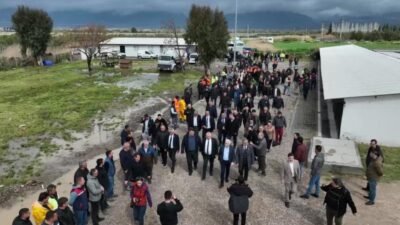 Edremit Belediyesi tarafından sokak hayvanlarının rehabilitasyon süreçlerini doğal bir ortamda