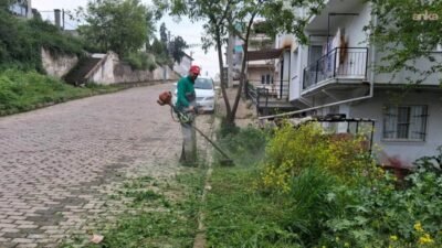 Efeler Belediyesi Park ve Bahçeler ve Temizlik İşleri Müdürlüğü ekipleri,