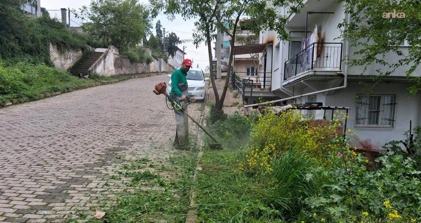 Efeler Belediyesi Park ve Bahçeler ve Temizlik İşleri Müdürlüğü ekipleri,
