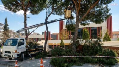 Efeler Belediyesi Park ve Bahçeler Müdürlüğü ekipleri, ilçenin yeşil dokusunu