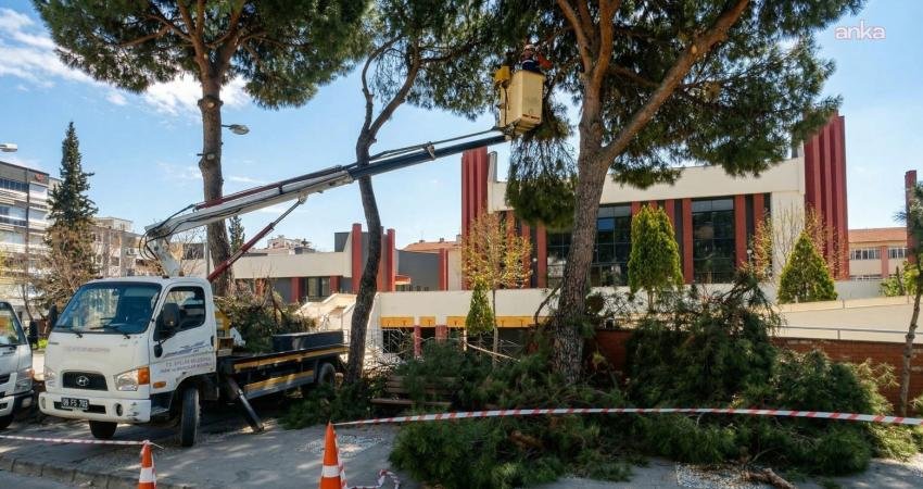 Efeler Belediyesi Park ve Bahçeler Müdürlüğü ekipleri, ilçenin yeşil dokusunu