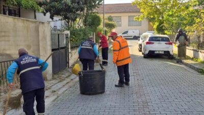 Efeler Belediyesi Park ve Bahçeler Müdürlüğü ekipleri, temizlik ve bakım