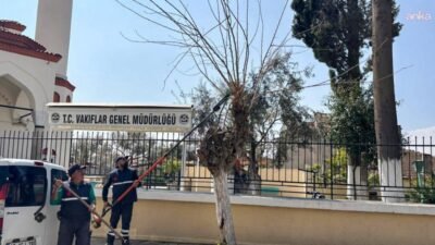 Efeler Belediyesi, ilçenin binlerce yıllık tarihine ve kültürel dokusuna sahip