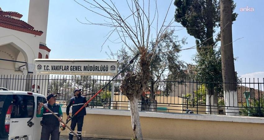 Efeler Belediyesi, ilçenin binlerce yıllık tarihine ve kültürel dokusuna sahip