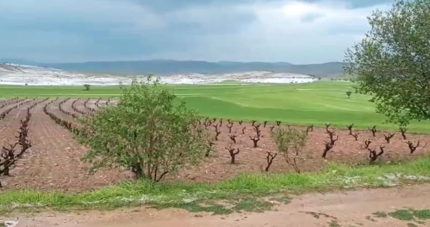 Elazığ'da pazar günü öğle saatlerinde bşlayan yoğun sağanak akşamüstü dolu